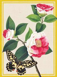 Winterthur Butterflies Everyday Embellished Notecards