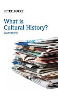 What Is Cultural History?