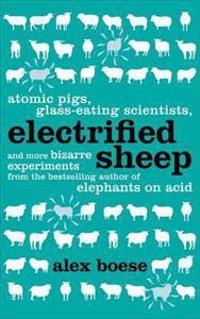 Electrified Sheep