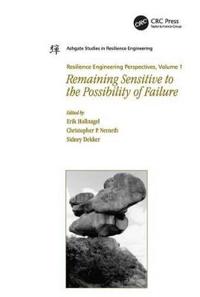Resilience Engineering Perspectives