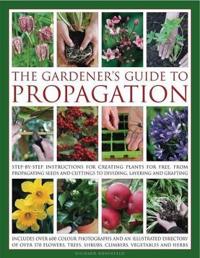 The Gardener's Guide to Propagation: Step-By-Step Instructions for Creating Plants for Free, from Propagating Seeds and Cuttings to Dividing, Layering