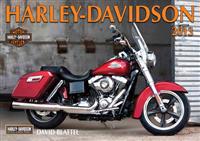 Harley-Davidson 2013