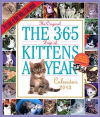 365 Days of Kittens-A-Year Calendar 2013