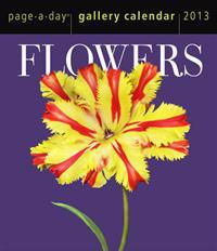 Flowers Gallery 2013