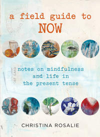 A Field Guide to Now: Notes on Mindfulness and Life in the Present Tense