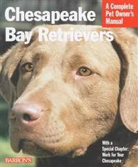 Chesapeake Bay Retrievers