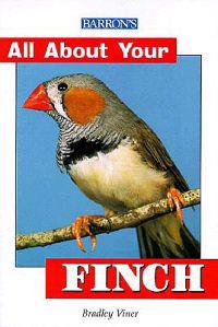 All about Your Finch
