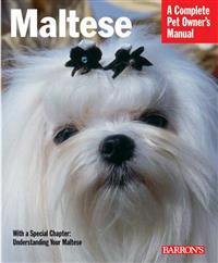 Maltese
