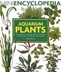 Aquarium Plants: Comprehensive Coverage, from Growing Them to Perfection to Choosing the Best Varieties