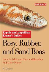 Rosy, Rubber and Sand Boas