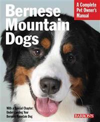 Bernese Mountain Dogs