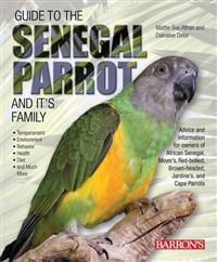 Guide to the Senegal Parrot and it's Family