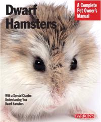 Dwarf Hamsters