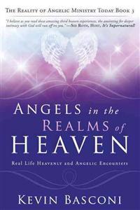 Angels in the Reals of Heaven