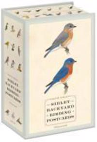 Sibley Backyard Birding Postcards: 100 Postcards