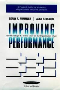 Improving Performance: How to Manage the White Space in the Organization Ch