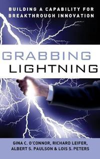 Grabbing Lightning: Building a Capability for Breakthrough Innovation