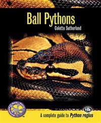Ball Pythons