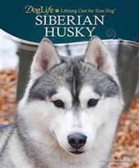 Siberian Husky