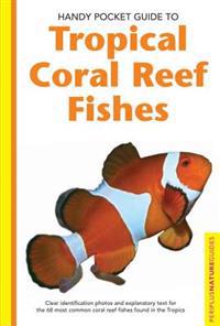 Handy Pocket Guide To Tropical Coral Reef Fishes