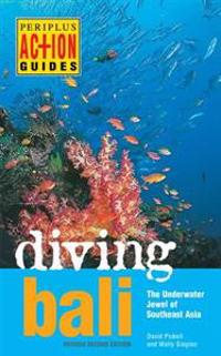 Diving Bali: The Underwater Jewel of Southeast Asia