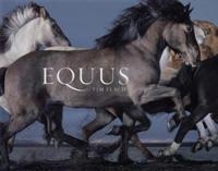 Equus