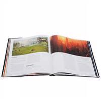 Industrial Light & Magic