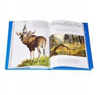 Gnomes Deluxe Collector's Edition