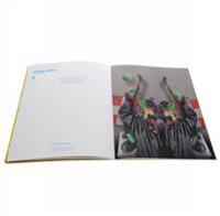 Indie Rock Poster Book