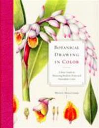 Botanical Drawing in Color