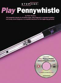 Play Pennywhistle [With Music Examples and Tunes Played by Professionals]