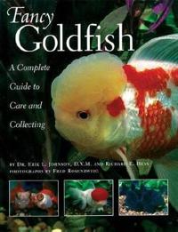 Fancy Goldfish