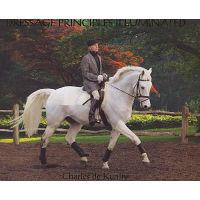 Dressage Principles Illuminated