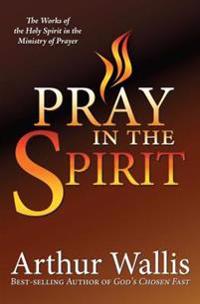 Pray in the Spirit: The Work of the Holy Spirit in the Ministry of Prayer
