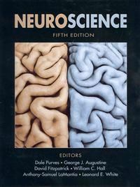 NeuroScience