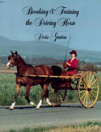 Breaking and Training the Driving Horse: A Detailed and Comprehensive Study
