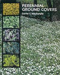 Perennial Ground Covers