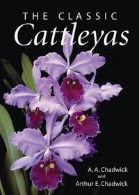 The Classic Cattleyas
