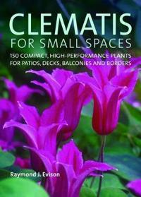 Clematis for Small Spaces