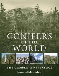 Conifers of the World