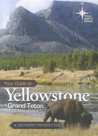 Your Guide to Yellowstone and Grand Teton National Parks: A Different Perspective