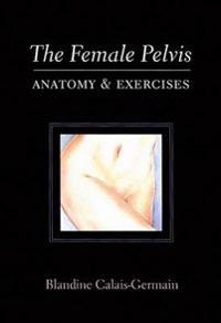 The Female Pelvis: Anatomy & Exercises