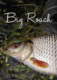 Big Roach