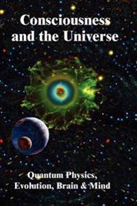 Consciousness in the Universe