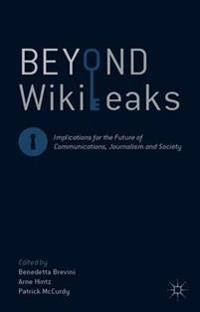 Beyond WikiLeaks
