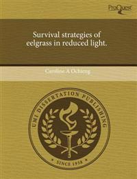 Survival Strategies of Eelgrass in Reduced Light.