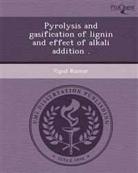 Pyrolysis and gasification of lignin and effect of alkali addition .