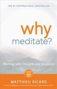Why Meditate? [With CD (Audio)]