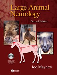 Large Animal Neurology: Applying Theory to Data