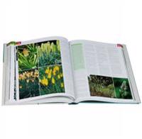 RHS Encyclopedia of Perennials